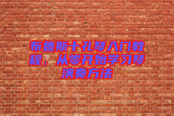 布魯斯十孔琴入門教程,從零開始學習琴演奏方法