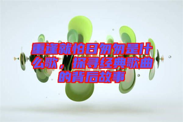 重逢就怕日匆匆是什么歌,探尋經(jīng)典歌曲的背后故事