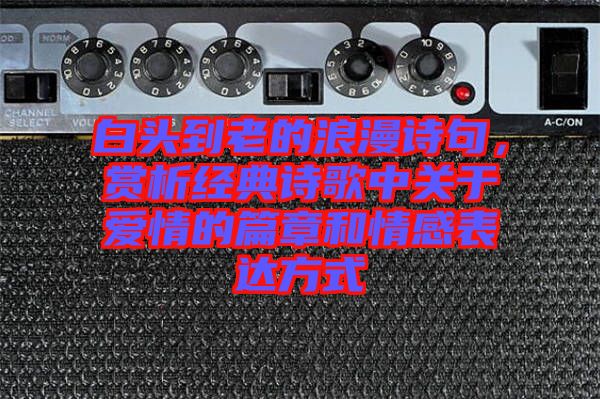 白頭到老的浪漫詩句，賞析經典詩歌中關于愛情的篇章和情感表達方式