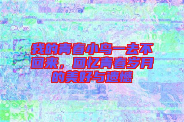 我的青春小鳥一去不回來,回憶青春歲月的美好與遺憾