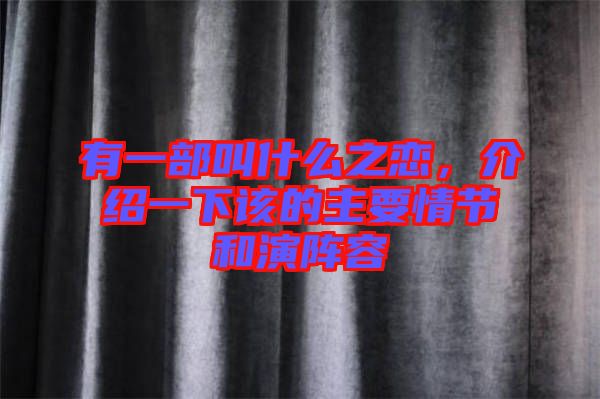 有一部叫什么之戀,介紹一下該的主要情節(jié)和演陣容