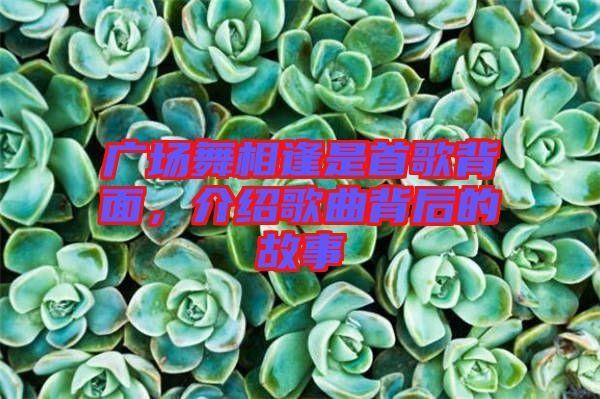 廣場(chǎng)舞相逢是首歌背面,介紹歌曲背后的故事