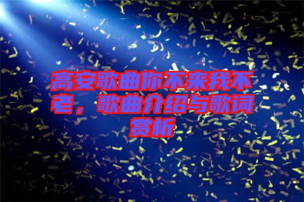 高安歌曲你不來(lái)我不老,歌曲介紹與歌詞賞析