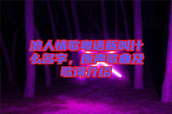 浪人情歌粵語(yǔ)版叫什么名字,原聲歌曲及歌詞介紹