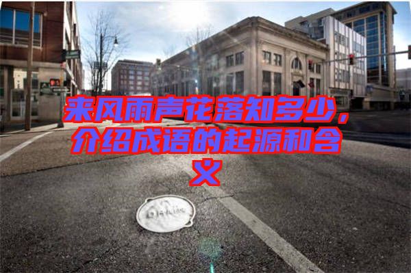 來風雨聲花落知多少,介紹成語的起源和含義