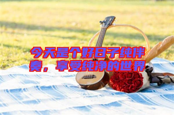今天是個好日子純伴奏,享受純凈的世界