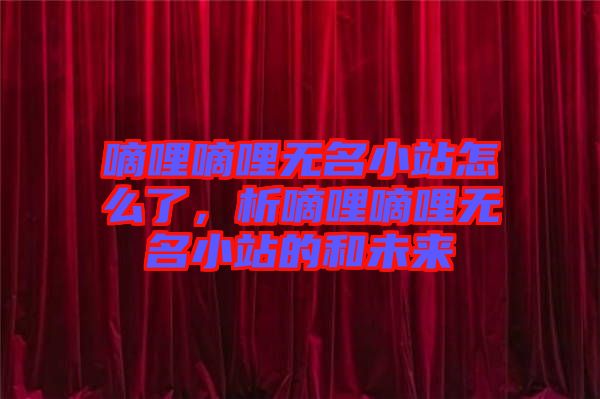 嘀哩嘀哩無名小站怎么了,析嘀哩嘀哩無名小站的和未來