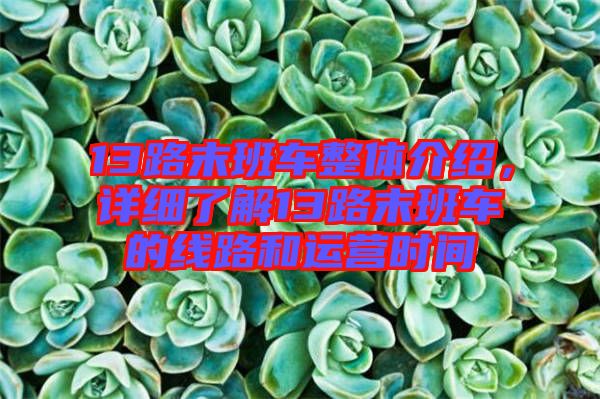 13路末班車整體介紹,詳細了解13路末班車的線路和運營時間
