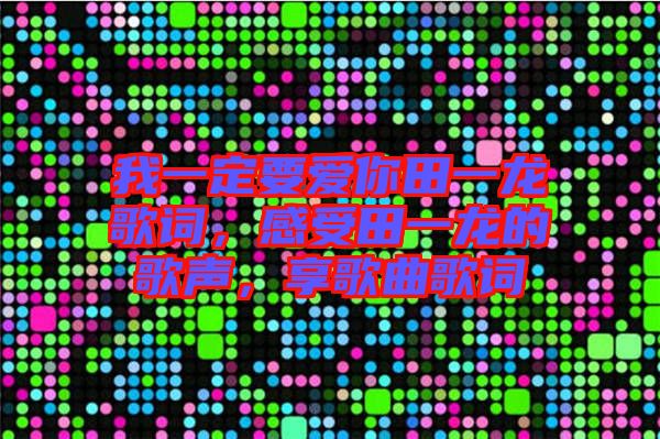 我一定要愛你田一龍歌詞,感受田一龍的歌聲,享歌曲歌詞