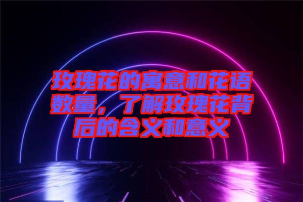 玫瑰花的寓意和花語數量,了解玫瑰花背后的含義和意義