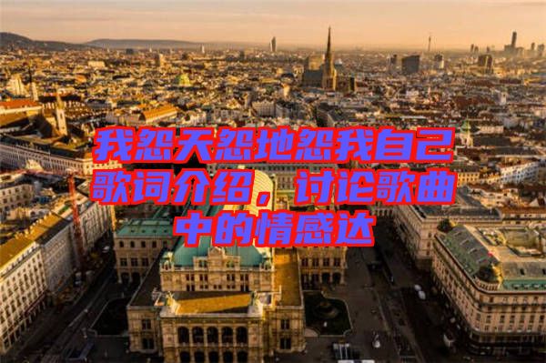 我怨天怨地怨我自己歌詞介紹,討論歌曲中的情感達(dá)