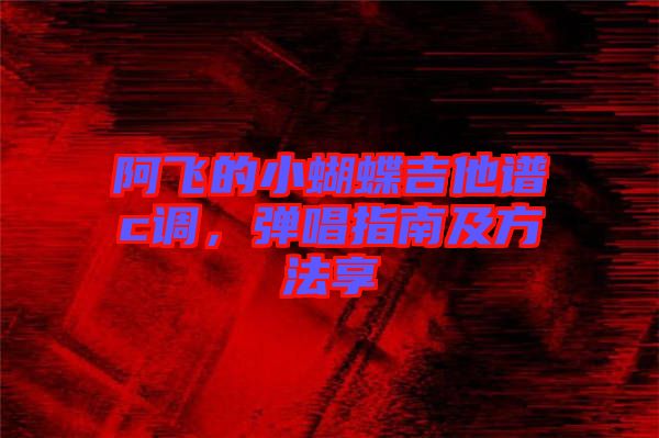 阿飛的小蝴蝶吉他譜c調,彈唱指南及方法享