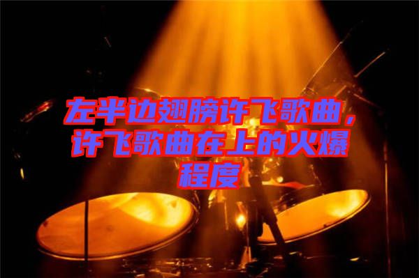 左半邊翅膀許飛歌曲,許飛歌曲在上的火爆程度