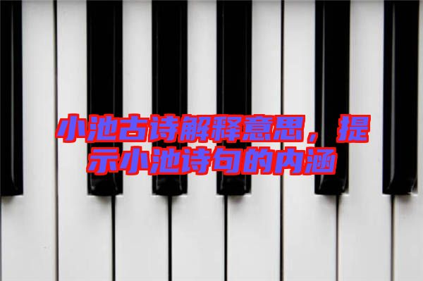 小池古詩解釋意思,提示小池詩句的內涵