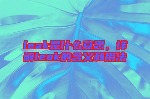 leak是什么意思，詳解leak的含義和用法