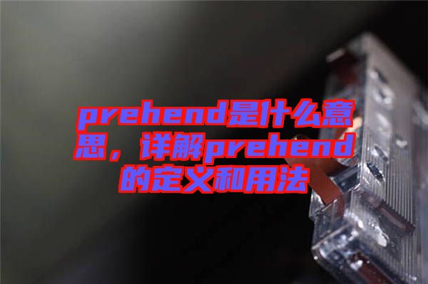 prehend是什么意思,詳解prehend的定義和用法