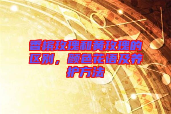 香檳玫瑰和黃玫瑰的區別,顏色花語及養護方法