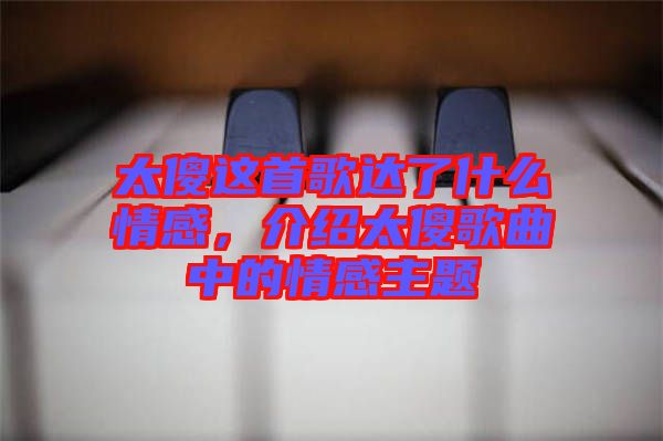 太傻這首歌達(dá)了什么情感,介紹太傻歌曲中的情感主題