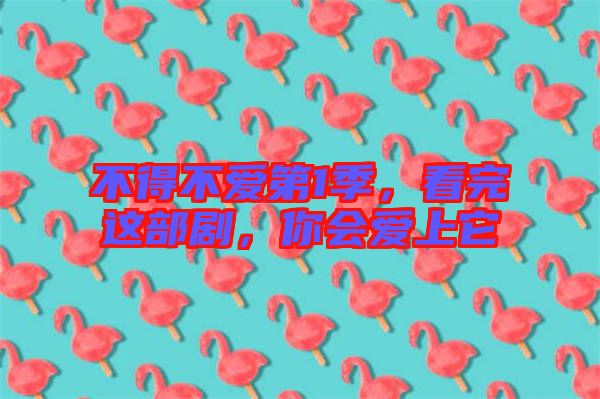 不得不愛第1季,看完這部劇,你會愛上它