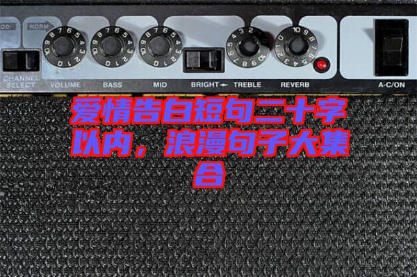 愛情告白短句二十字以內,浪漫句子大集合