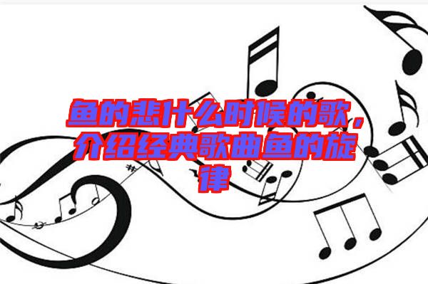 魚的悲什么時候的歌,介紹經(jīng)典歌曲魚的旋律