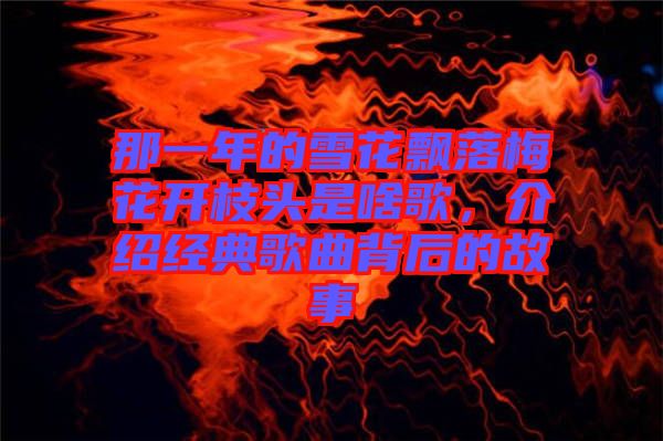 那一年的雪花飄落梅花開枝頭是啥歌,介紹經(jīng)典歌曲背后的故事