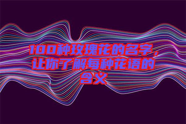 100種玫瑰花的名字，讓你了解每種花語的含義
