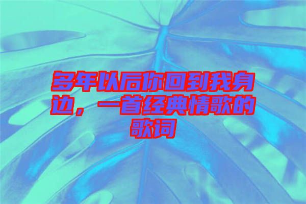 多年以后你回到我身邊,一首經典情歌的歌詞