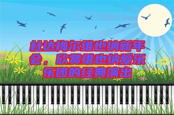 杜達(dá)梅爾維也納新年會,欣賞維也納愛樂樂團(tuán)的經(jīng)典演出