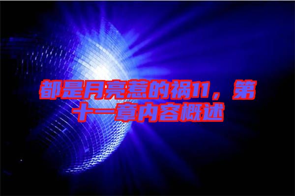 都是月亮惹的禍11,第十一章內容概述