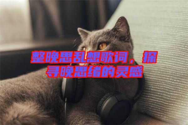 整晚思亂想歌詞,探尋晚思緒的靈感