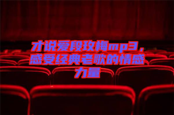 才說愛段玫梅mp3,感受經(jīng)典老歌的情感力量