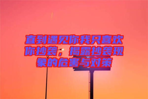 直到遇見你我只喜歡你抄襲,揭露抄襲現(xiàn)象的危害與對(duì)策