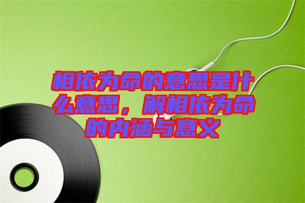 相依為命的意思是什么意思,解相依為命的內(nèi)涵與意義