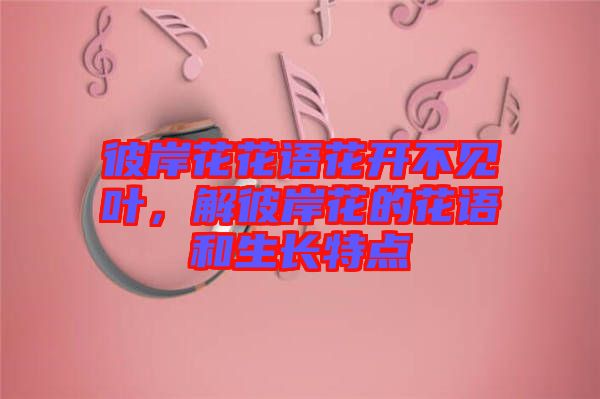 彼岸花花語花開不見葉，解彼岸花的花語和生長特點(diǎn)