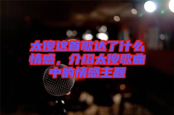 太傻這首歌達了什么情感,介紹太傻歌曲中的情感主題