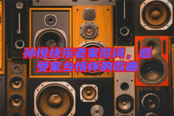 孫悅快樂老家歌詞,感受家鄉情懷的歌曲