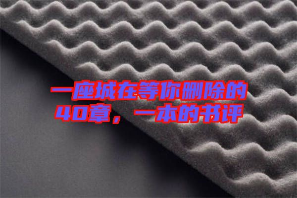 一座城在等你刪除的40章,一本的書評(píng)