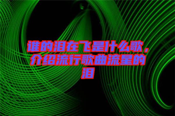 誰的淚在飛是什么歌,介紹流行歌曲流星的淚