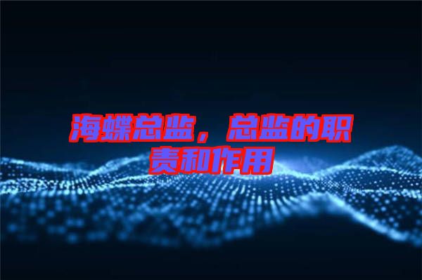 海蝶總監,總監的職責和作用