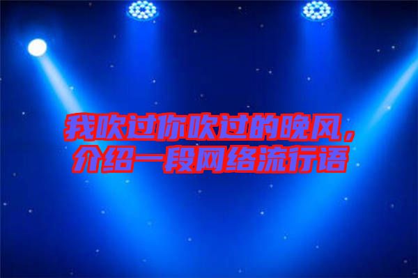 我吹過你吹過的晚風,介紹一段網絡流行語