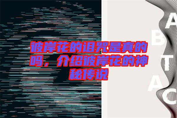 彼岸花的詛咒是真的嗎,介紹彼岸花的神秘傳說(shuō)