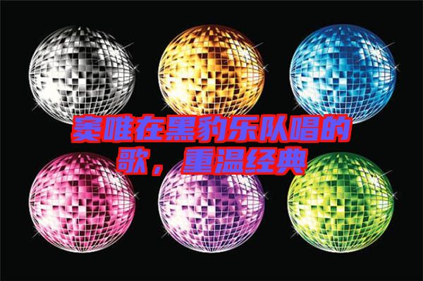 竇唯在黑豹樂隊(duì)唱的歌,重溫經(jīng)典