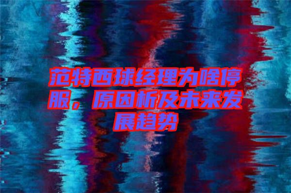 范特西球經(jīng)理為啥停服,原因析及未來發(fā)展趨勢