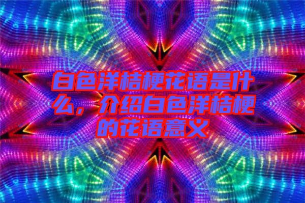 白色洋桔梗花語是什么,介紹白色洋桔梗的花語意義