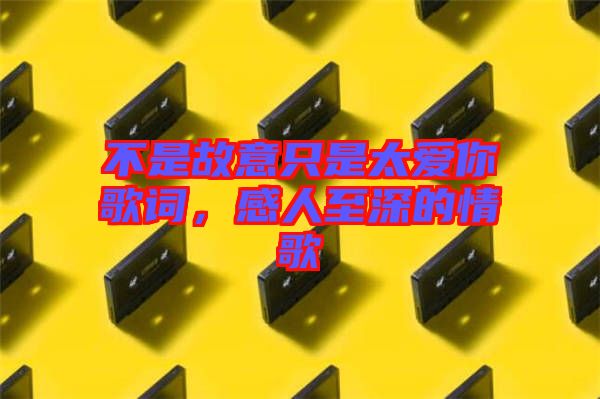 不是故意只是太愛你歌詞,感人至深的情歌