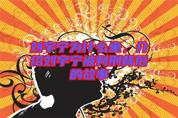 劉宇寧為什么坐，介紹劉宇寧被判刑背后的故事