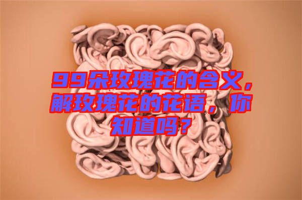 99朵玫瑰花的含義，解玫瑰花的花語，你知道嗎？