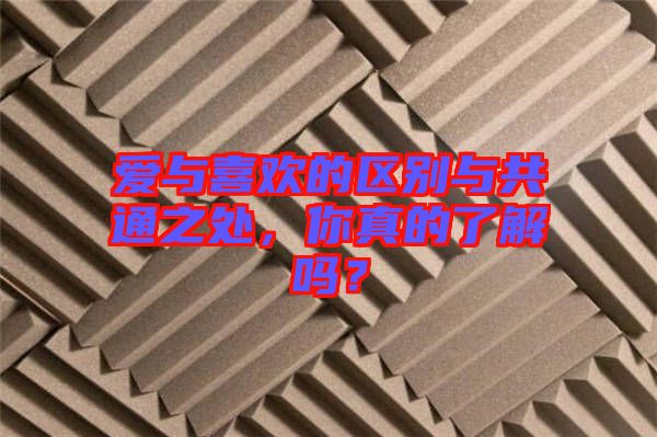 愛(ài)與喜歡的區(qū)別與共通之處,你真的了解嗎?
