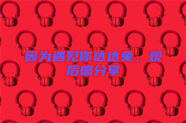 因?yàn)橛鲆娔氵_(dá)達(dá)兔,觀后感分享